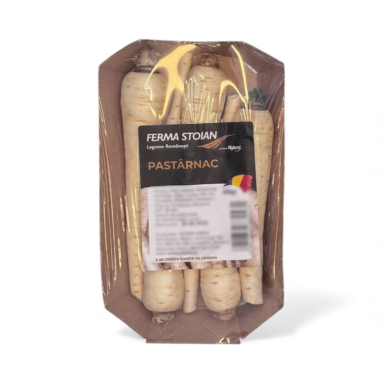 WhatsApp Image 2025-11-25 at 10.11.24 AM (2) copy