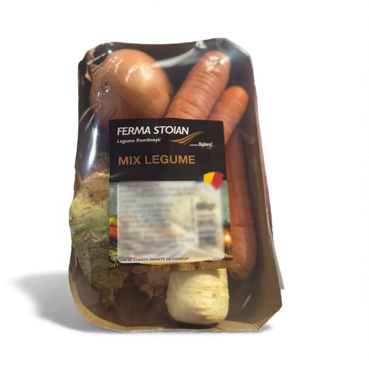 WhatsApp Image 2025-11-25 at 10.11.24 AM (3) copy